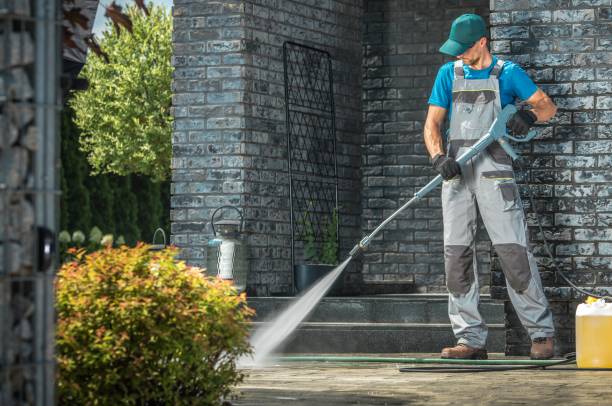 Best Solar Panel Cleaning  in Laymantown, VA