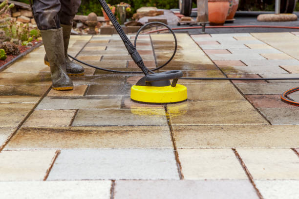 Animal Enclosure Cleaning in Laymantown, VA